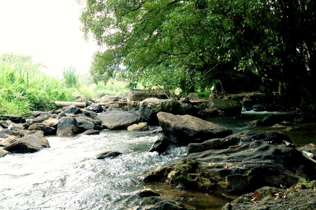 Nivahana Homestay كاندي المظهر الخارجي الصورة