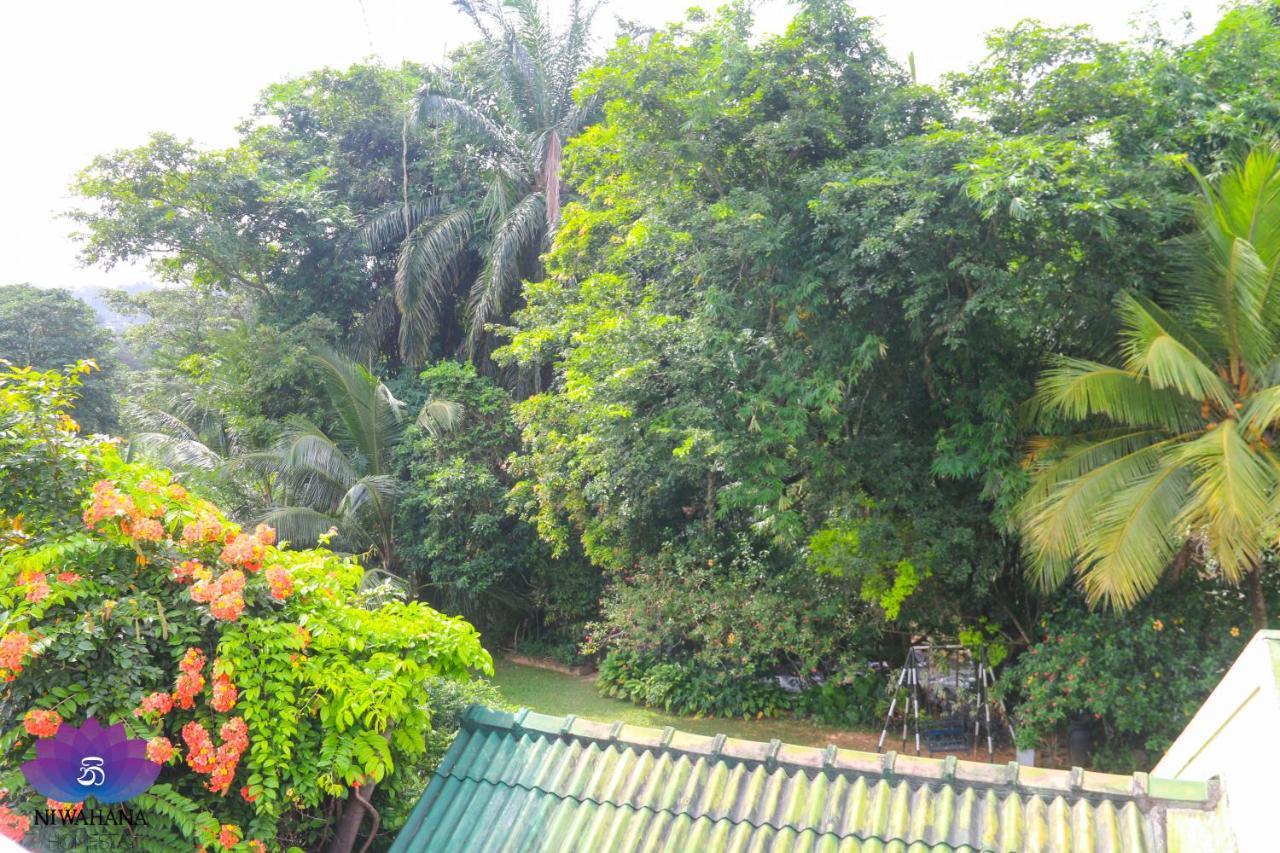 Nivahana Homestay كاندي المظهر الخارجي الصورة