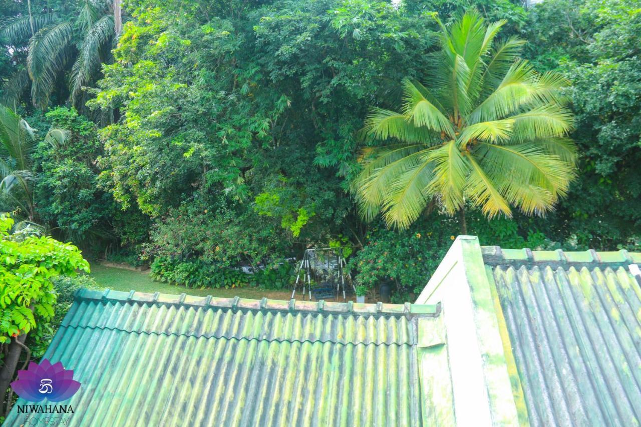 Nivahana Homestay كاندي المظهر الخارجي الصورة