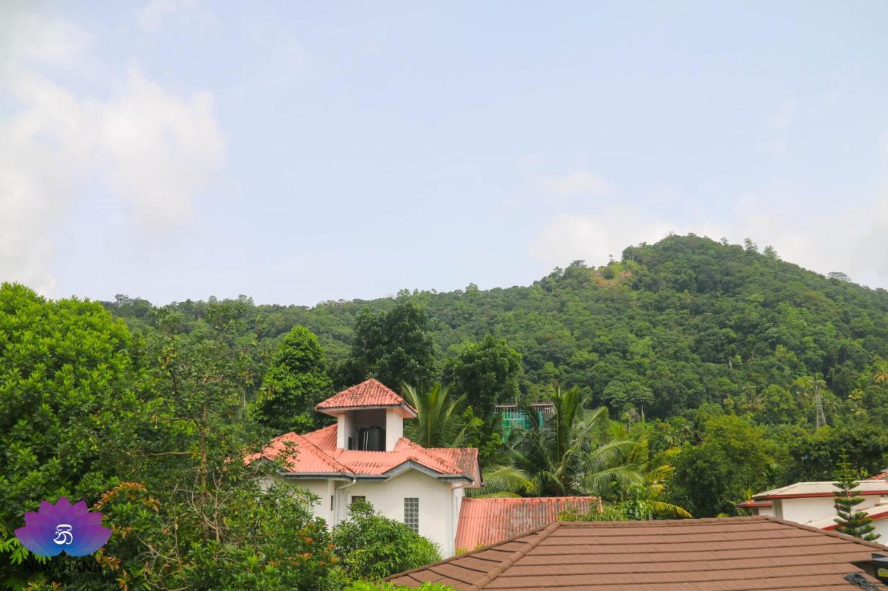Nivahana Homestay كاندي المظهر الخارجي الصورة